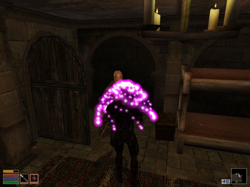 The Elder Scrolls 3: Morrowind - Collector's Edition - screenshot 6