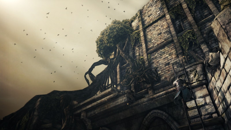 Dark Souls II - screenshot 30