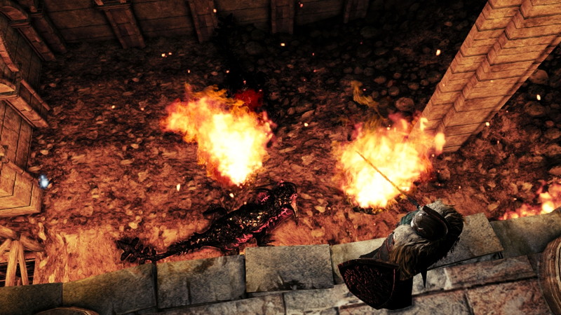 Dark Souls II - screenshot 28