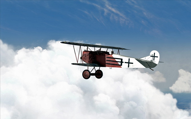 Rise of Flight: Iron Cross Edition - screenshot 10