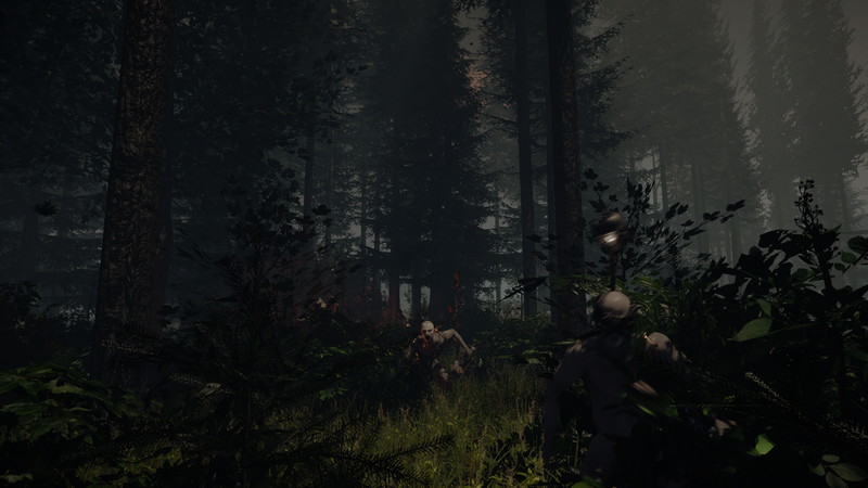 The Forest - screenshot 14
