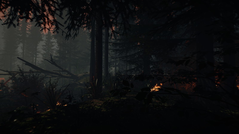 The Forest - screenshot 13