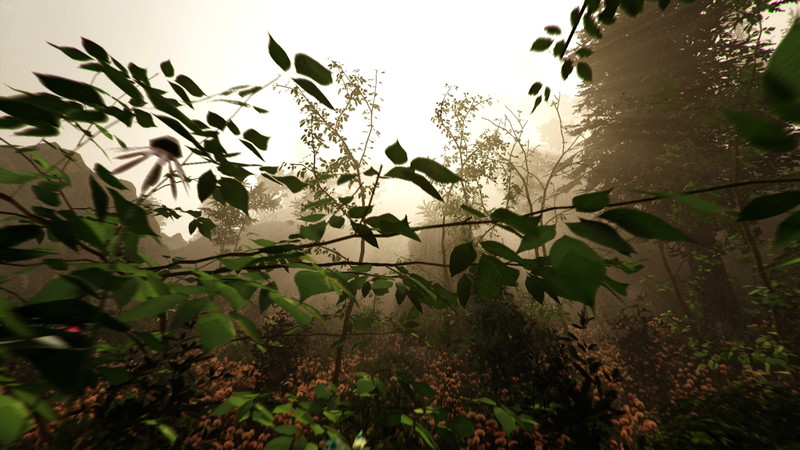 The Forest - screenshot 5