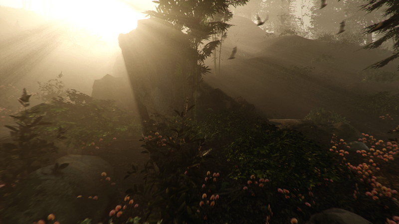 The Forest - screenshot 4