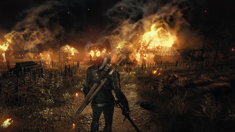 The Witcher 3: Wild Hunt - screenshot 81