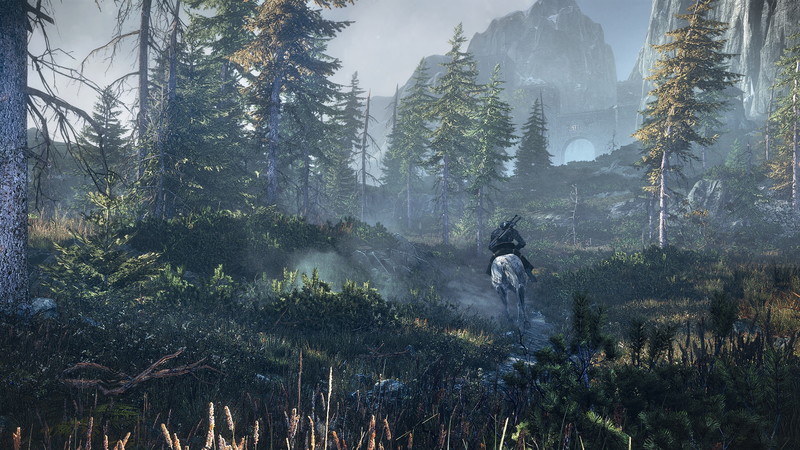 The Witcher 3: Wild Hunt - screenshot 48
