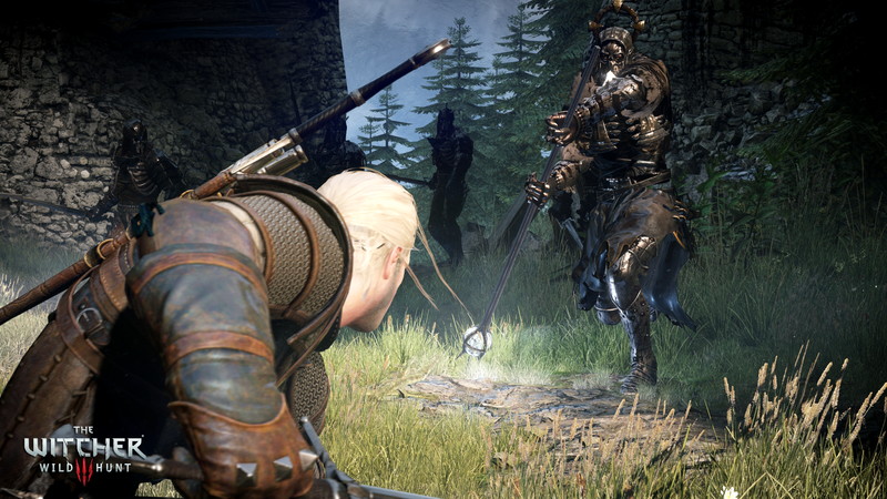 The Witcher 3: Wild Hunt - screenshot 39