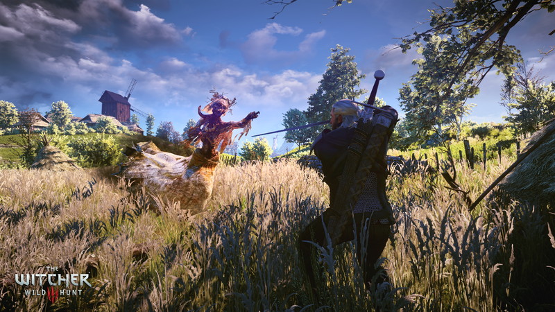 The Witcher 3: Wild Hunt - screenshot 34