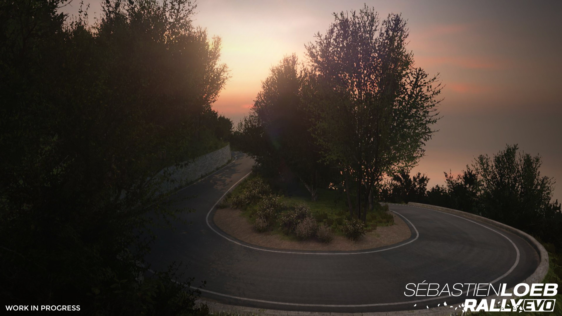 Sebastien Loeb Rally Evo - screenshot 4