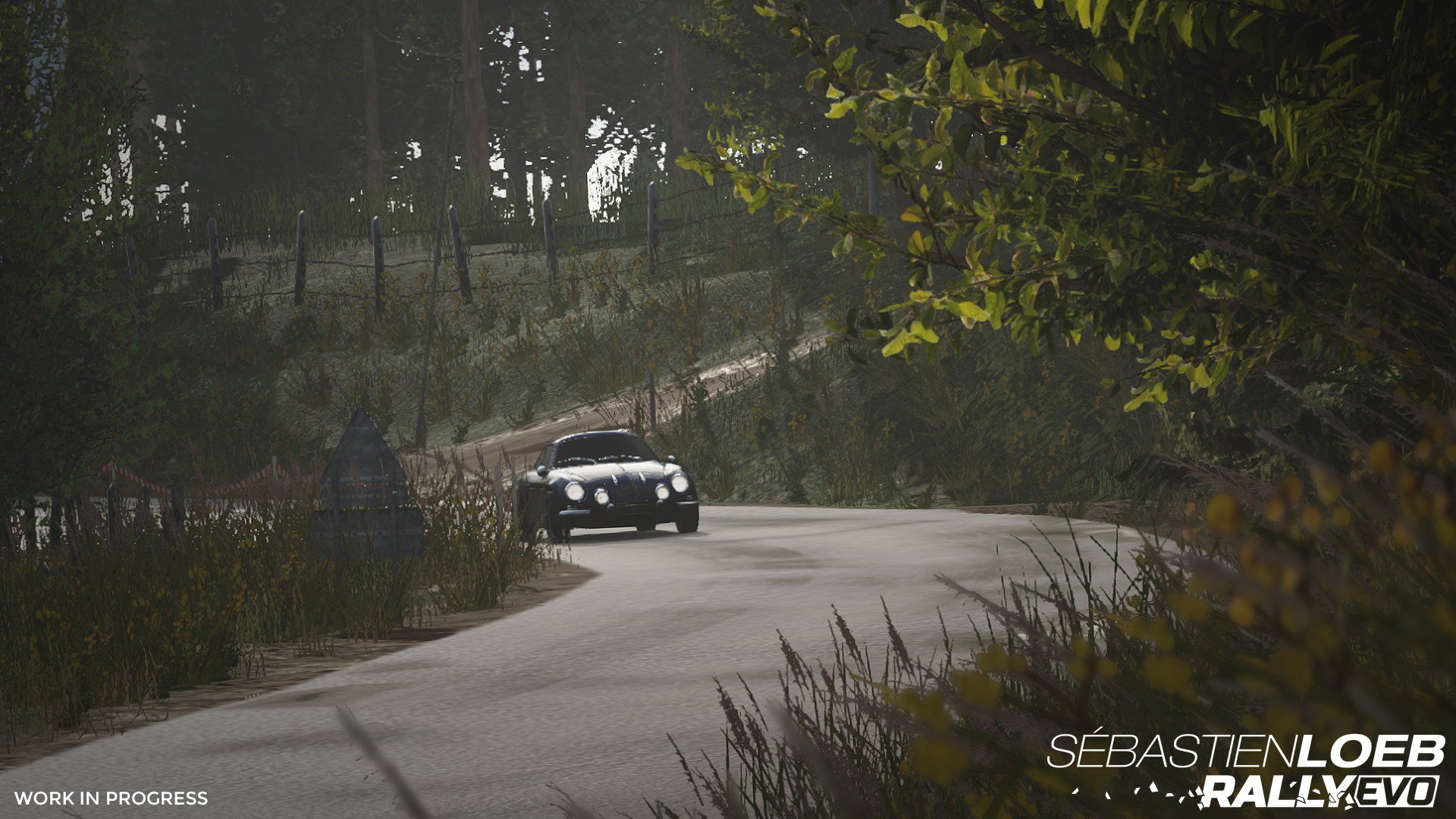 Sebastien Loeb Rally Evo - screenshot 3