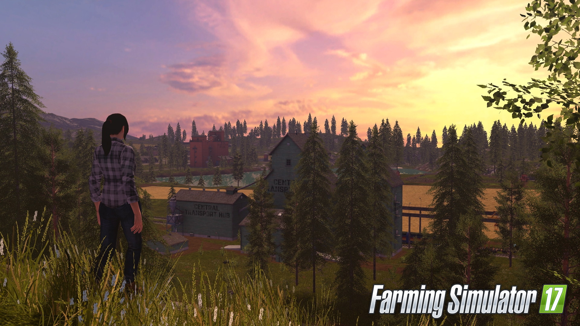 Farming Simulator 17 - screenshot 13