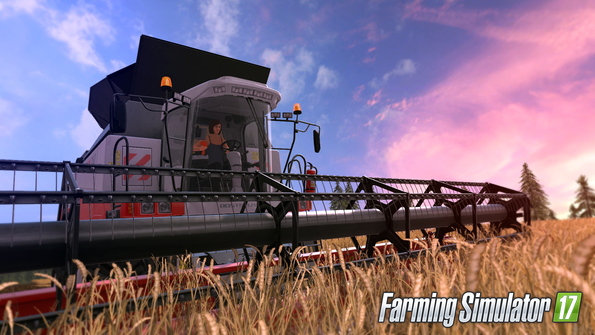 Farming Simulator 17 - screenshot 11
