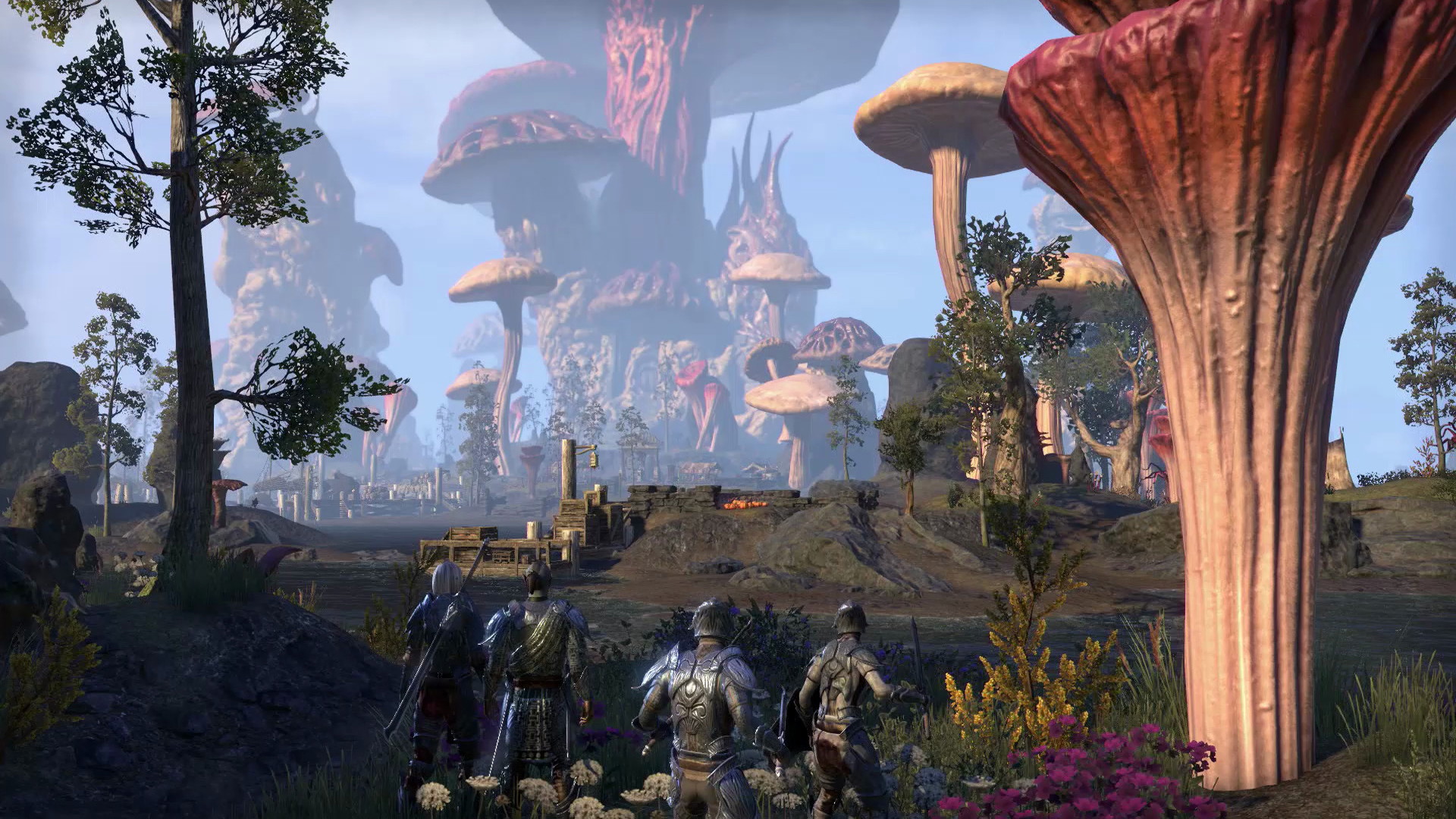 The Elder Scrolls Online: Morrowind - screenshot 1