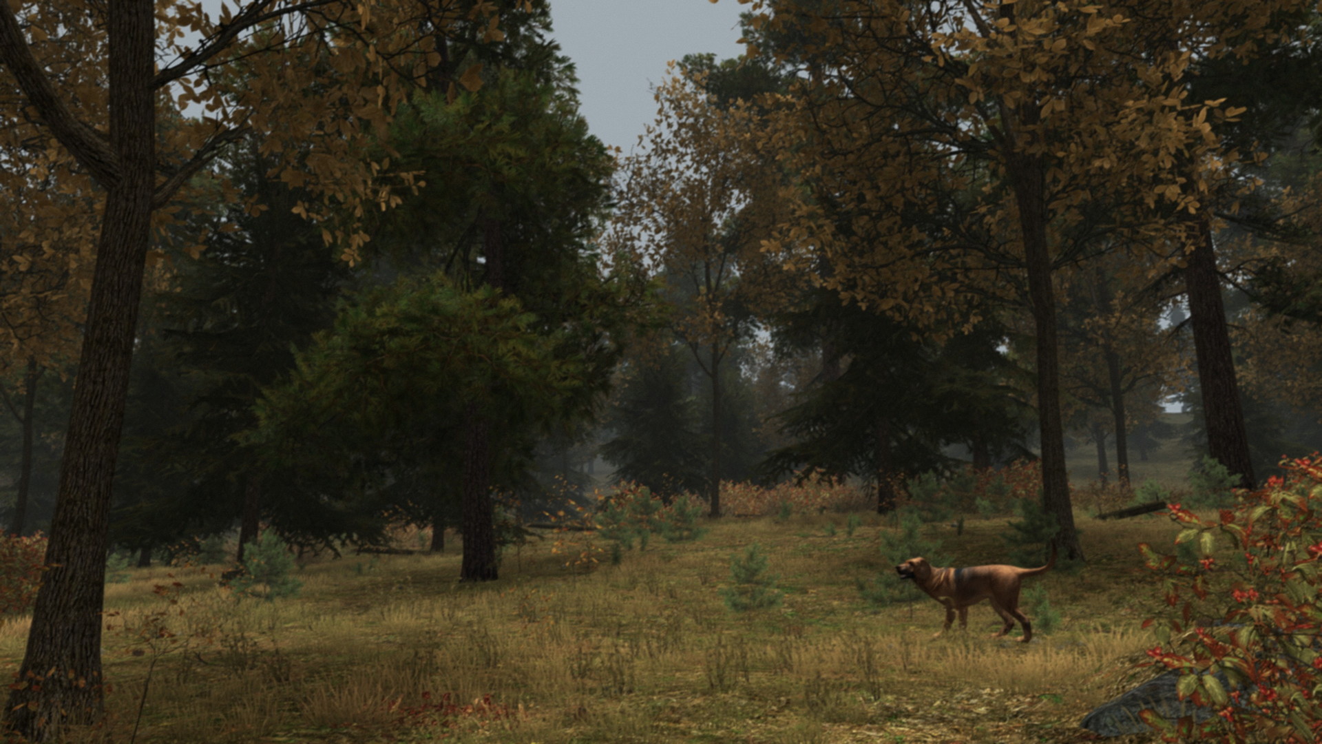 Walden, a game - screenshot 15