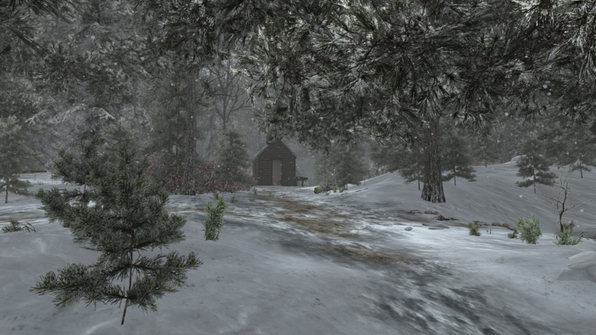 Walden, a game - screenshot 11
