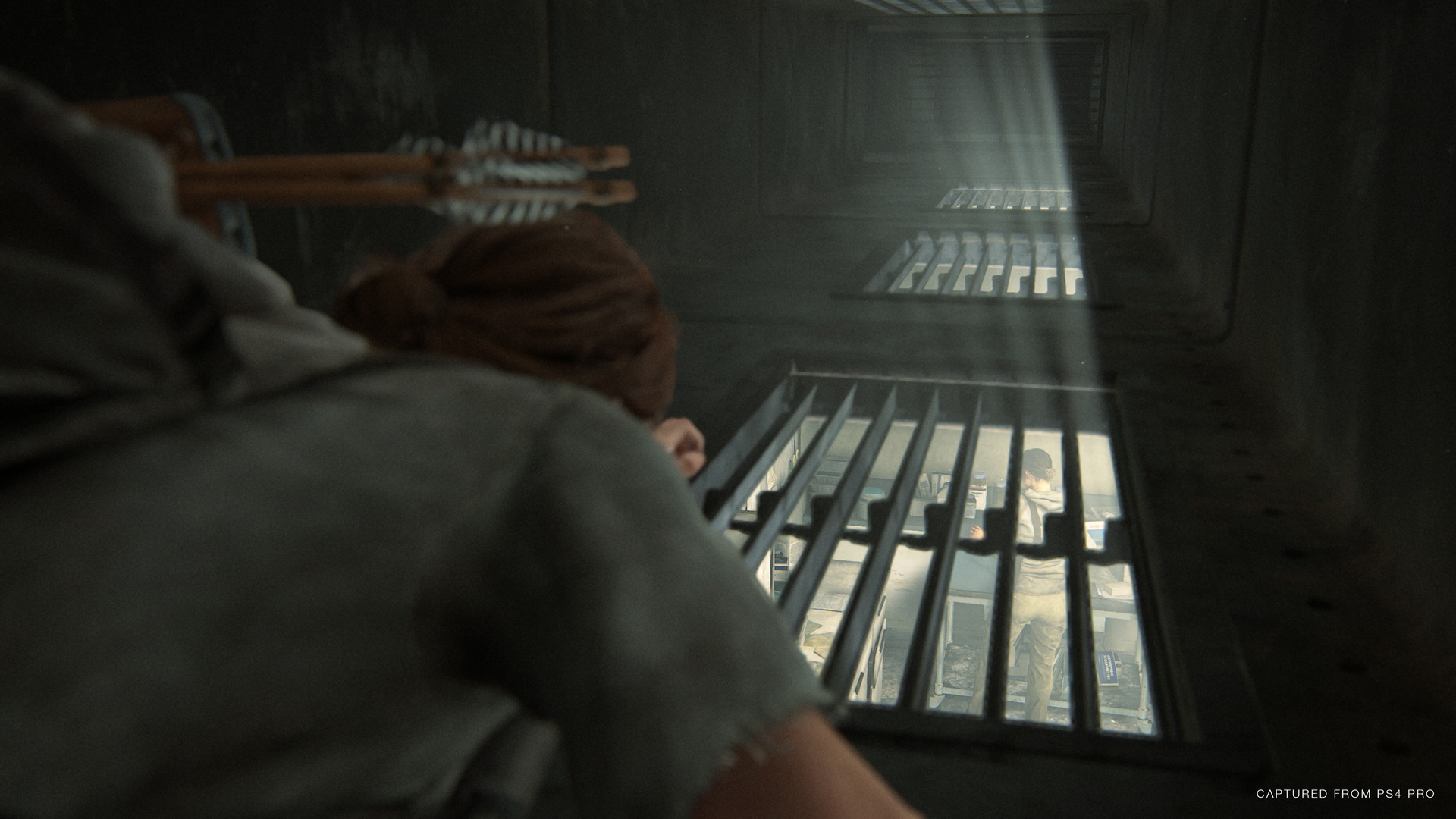 The Last of Us Part II - screenshot 61