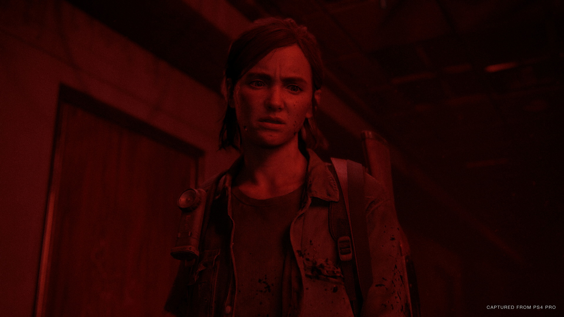 The Last of Us Part II - screenshot 52