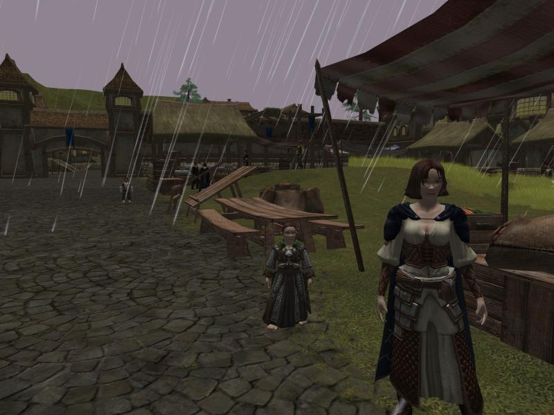The Lord of the Rings Online: Shadows of Angmar - screenshot 77