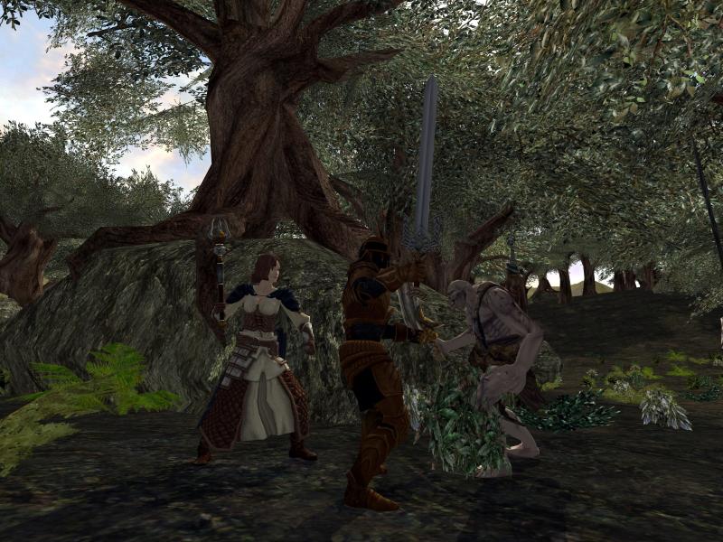 The Lord of the Rings Online: Shadows of Angmar - screenshot 62