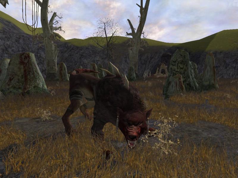 The Lord of the Rings Online: Shadows of Angmar - screenshot 38