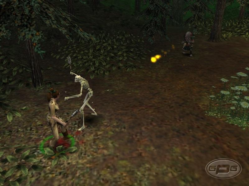 Dungeon Siege - screenshot 35