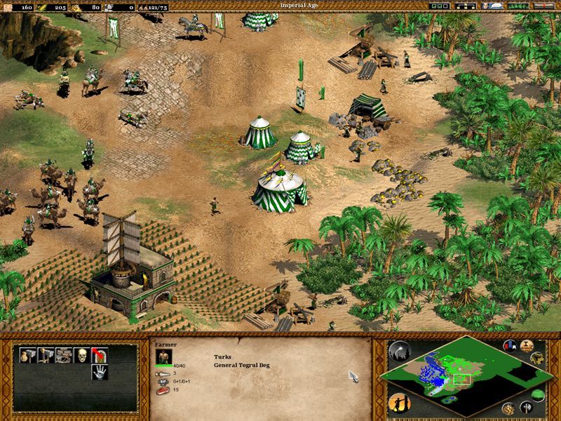 Age of Empires 2: The Age of Kings - screenshot 28