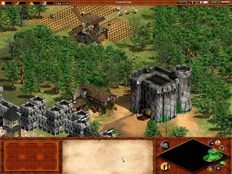 Age of Empires 2: The Age of Kings - screenshot 9