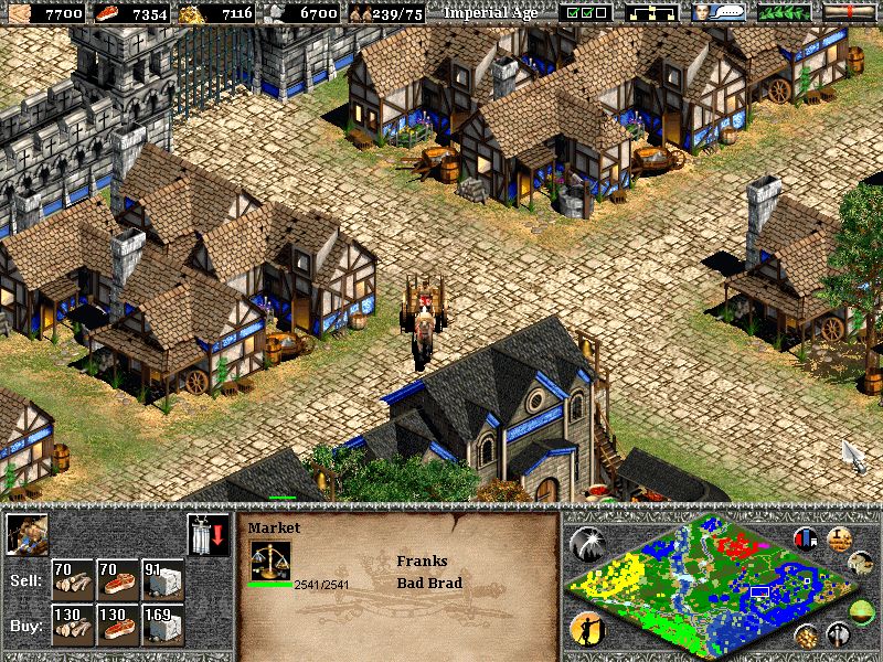 Age of Empires 2: The Age of Kings - screenshot 1
