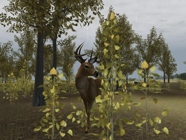 Deer Hunter 2004 - screenshot 63