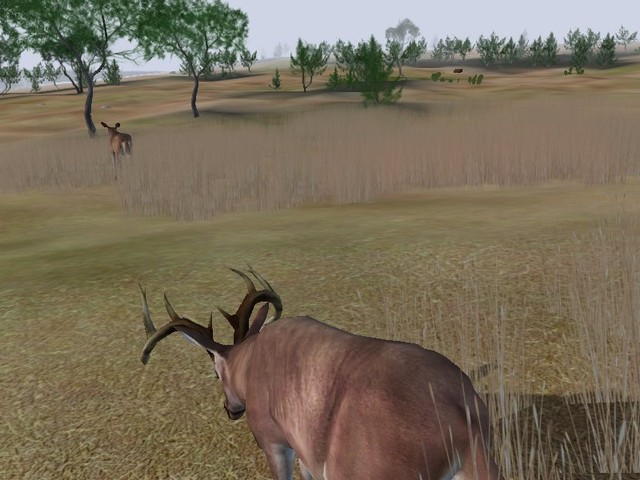 Deer Hunter 2004 - screenshot 59