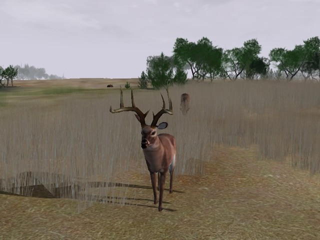Deer Hunter 2004 - screenshot 58