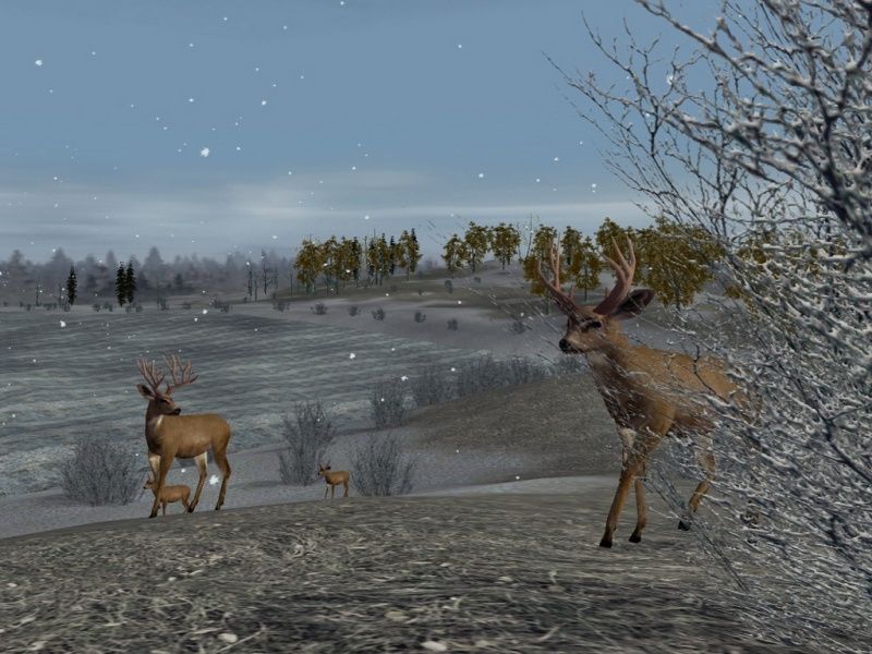 Hunting Unlimited 2 - screenshot 4