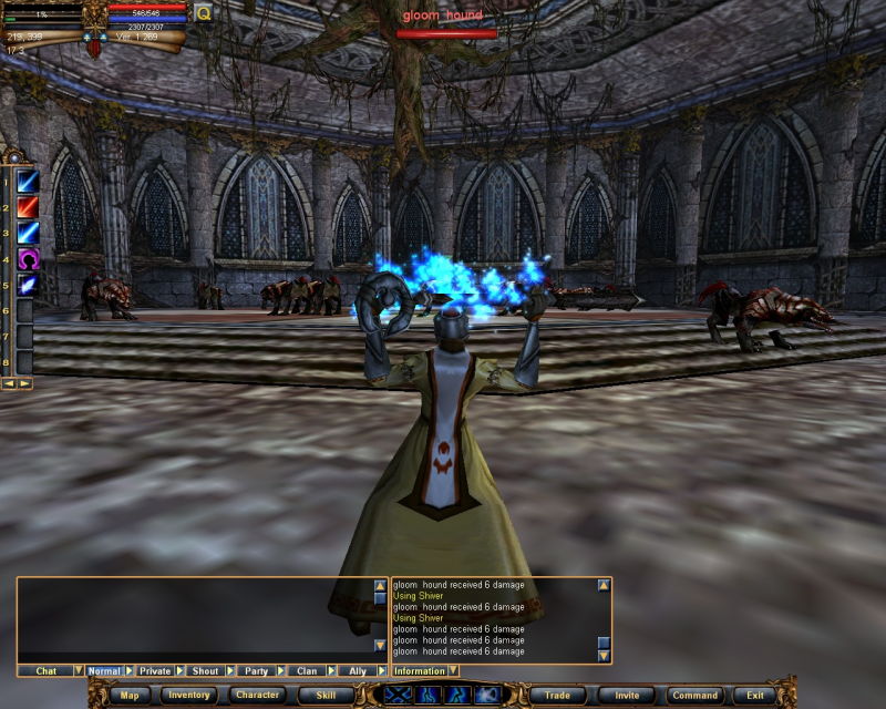 Knight Online - screenshot 19