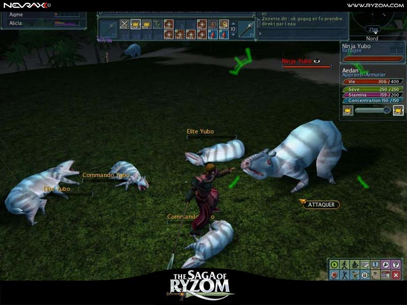 The Saga of RYZOM - screenshot 34
