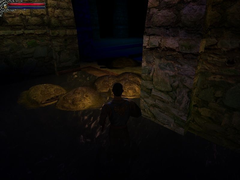 Dungeon Lords - screenshot 15