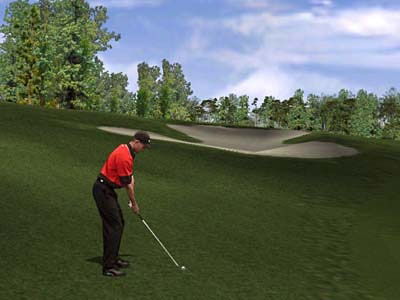 Tiger Woods PGA Tour 2001 - screenshot 2