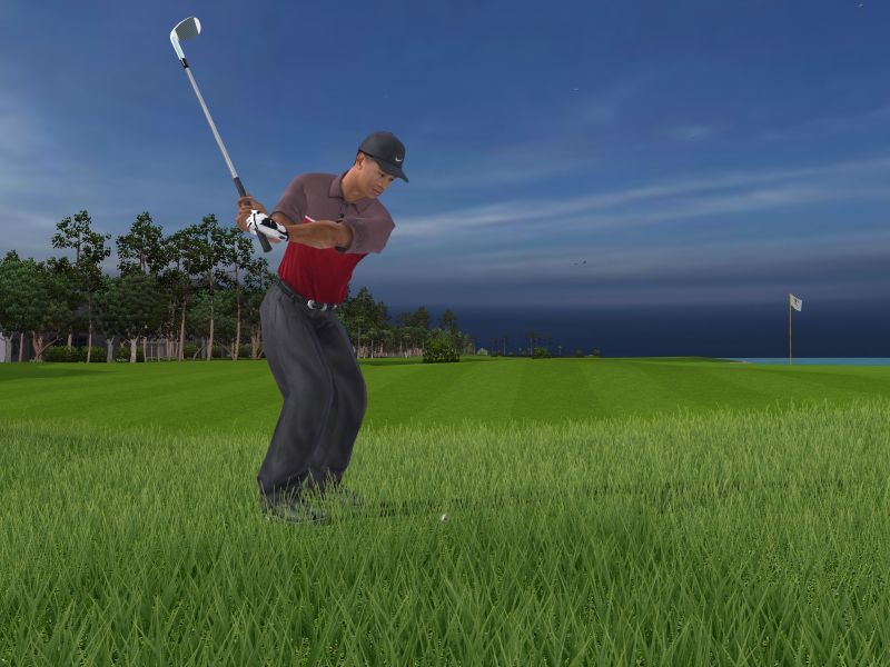 Tiger Woods PGA Tour 2005 - screenshot 1