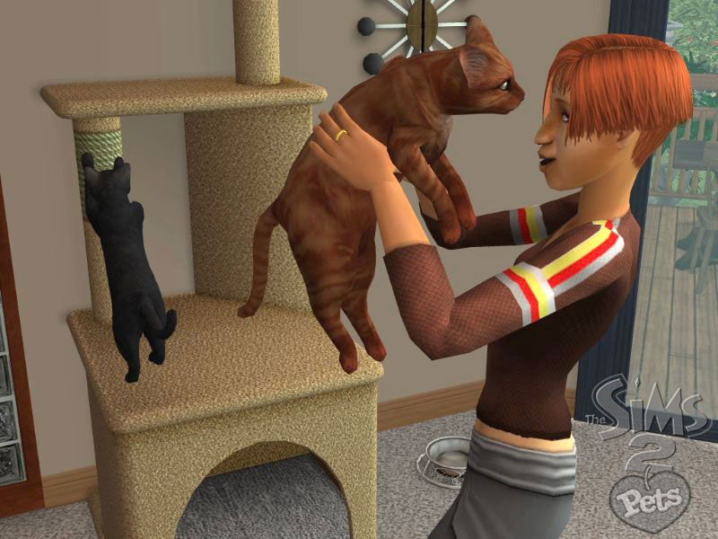 The Sims 2: Pets - screenshot 8