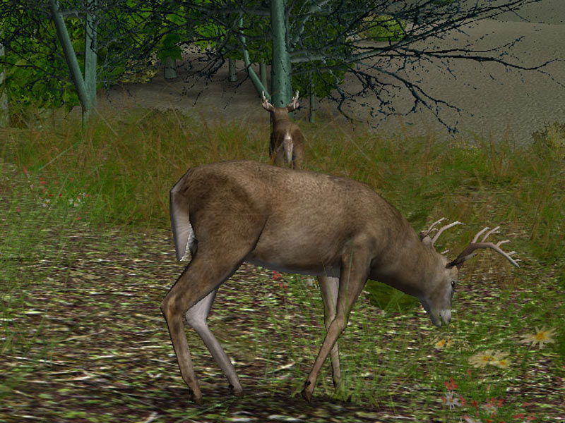 Hunting Unlimited 4 - screenshot 8