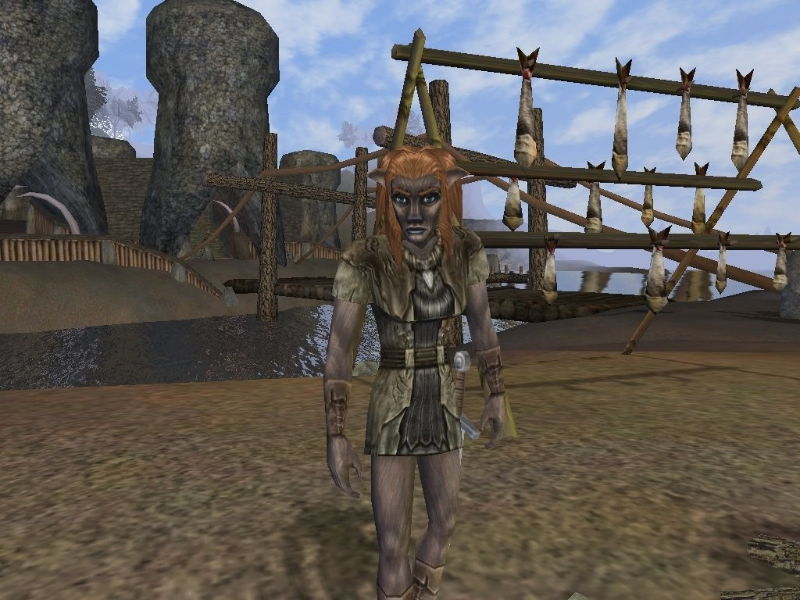 Dark Age of Camelot: Shrouded Isles - screenshot 6