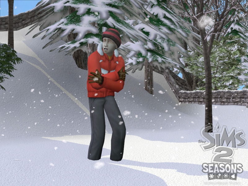 The Sims 2: Seasons - screenshot 4