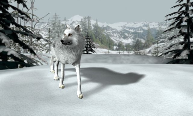 Nancy Drew: The White Wolf of Icicle Creek - screenshot 1