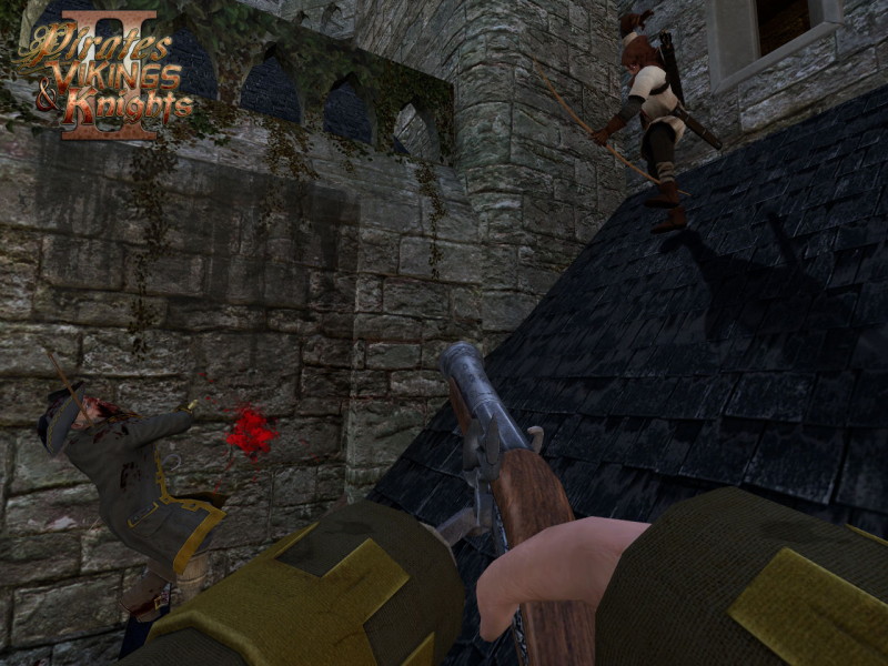 Pirates Vikings & Knights II - screenshot 8