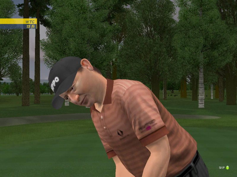 ProStroke Golf: World Tour 2007 - screenshot 67
