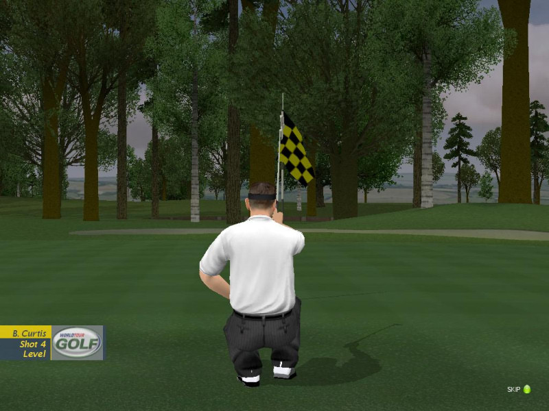 ProStroke Golf: World Tour 2007 - screenshot 62