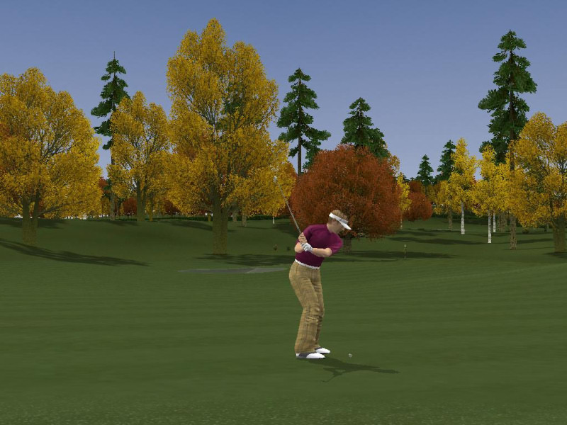 ProStroke Golf: World Tour 2007 - screenshot 20