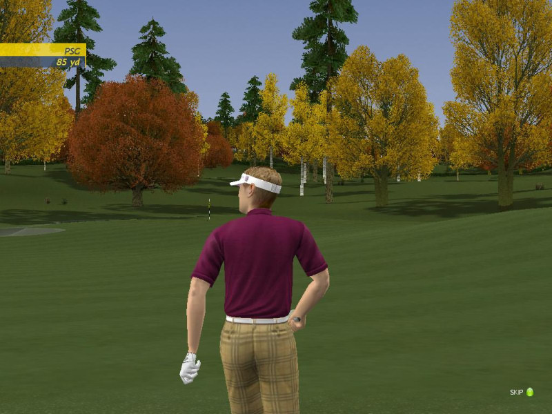 ProStroke Golf: World Tour 2007 - screenshot 17