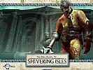 The Elder Scrolls 4: The Shivering Isles - wallpaper