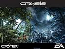Crysis - wallpaper #20