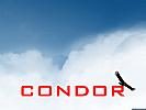 Condor: The Competition Soaring Simulator - wallpaper #3